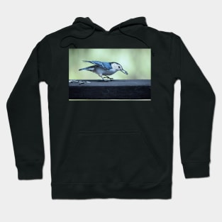 Nuthatch Hoodie